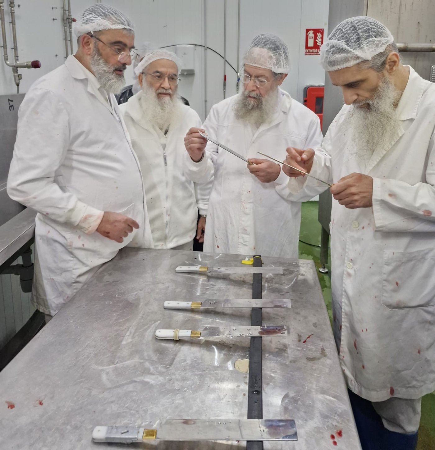  חברי בד"ץ 'נווה ציון' בשחיטת כבשים בספרד 