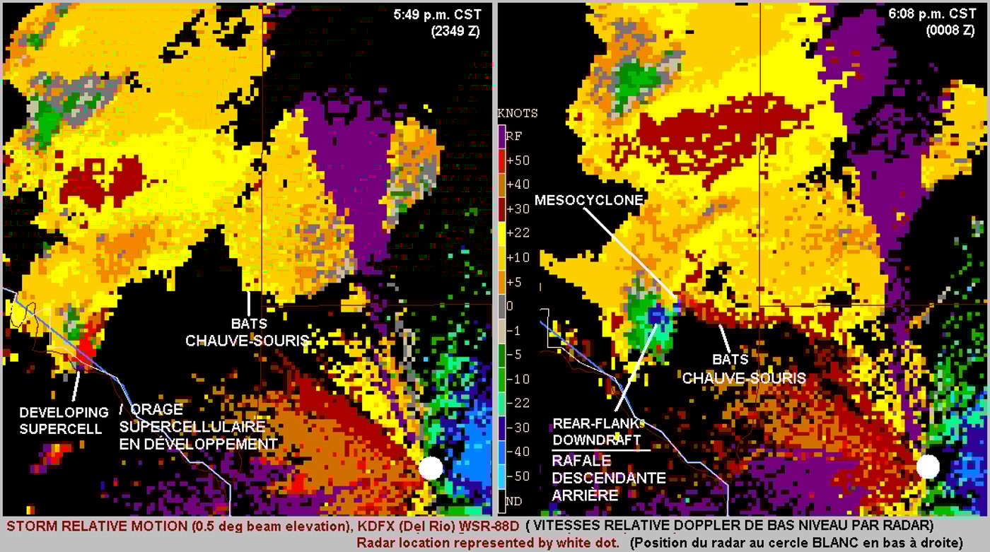 איור ממכ"ם דופלר של טקסס המראה מפגש של להקת עטלפים עם סופת רעמים, ואת החיות נעות לתוך הסערה. הצבע האדום מתאר את החיות הלכודות
