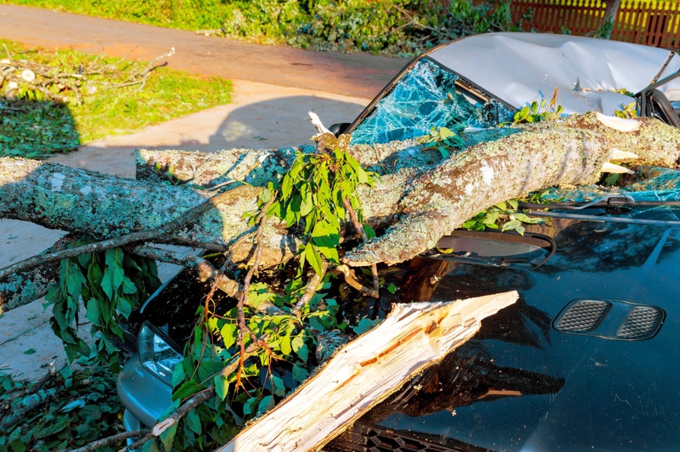 אילוסטרציה