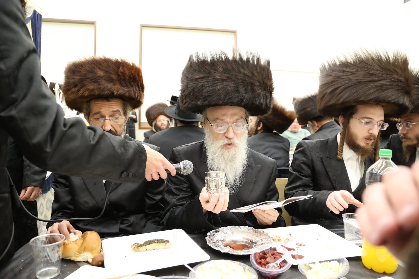 שמחת שבע הברכות לנכד האדמו"ר מערלוי