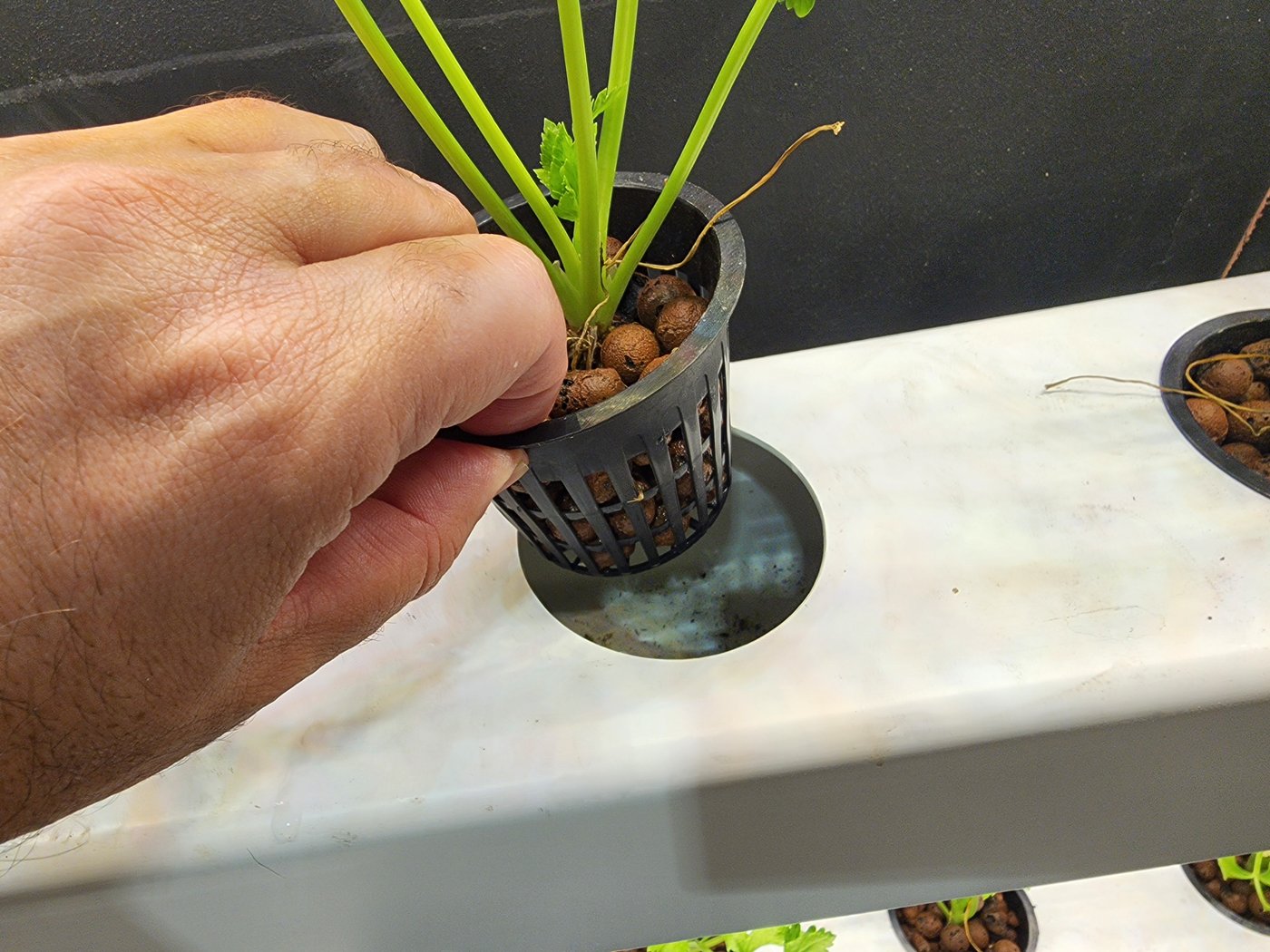 ביקור במעבדה לחקלאות העתיד