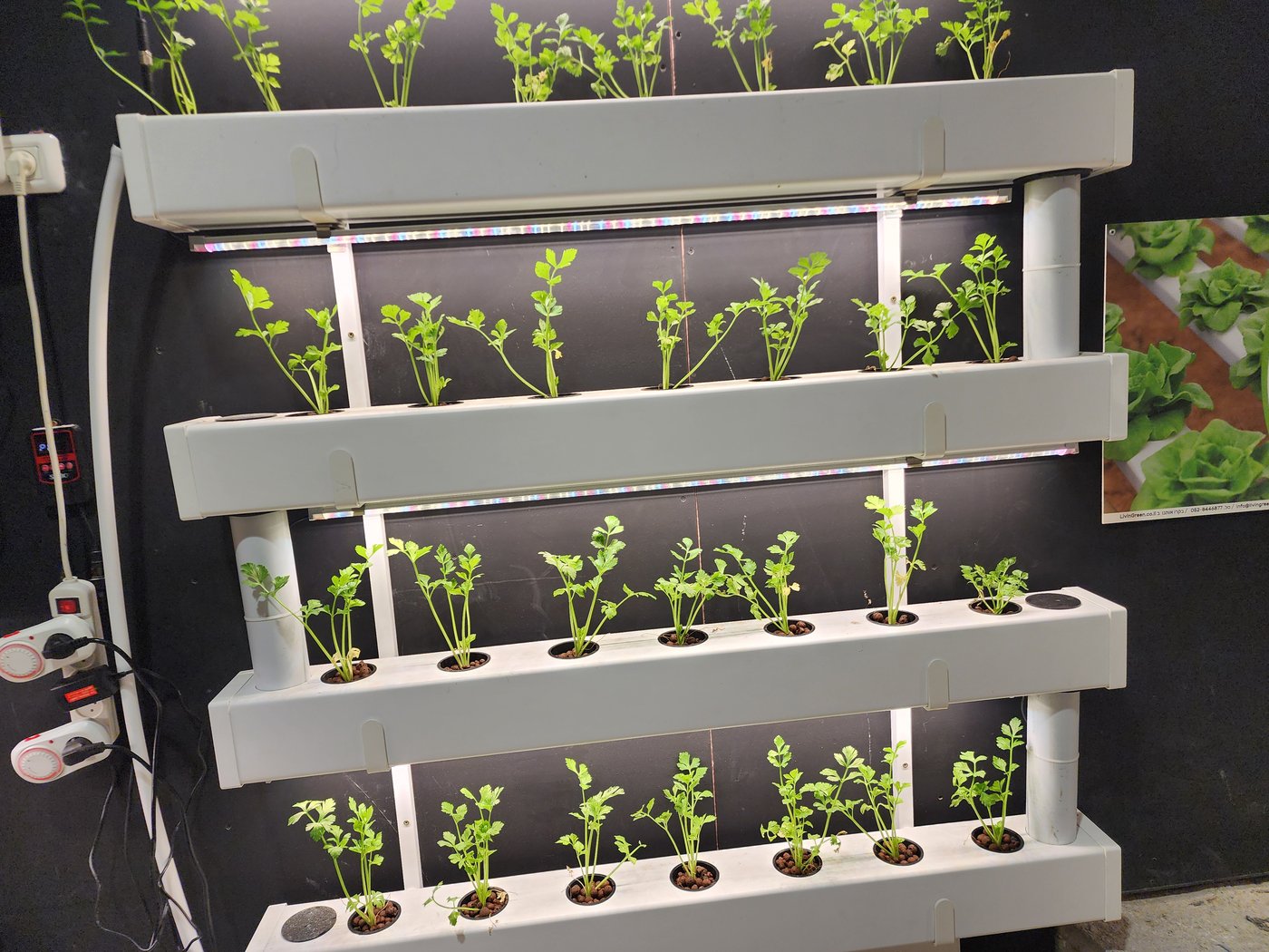 ביקור במעבדה לחקלאות העתיד