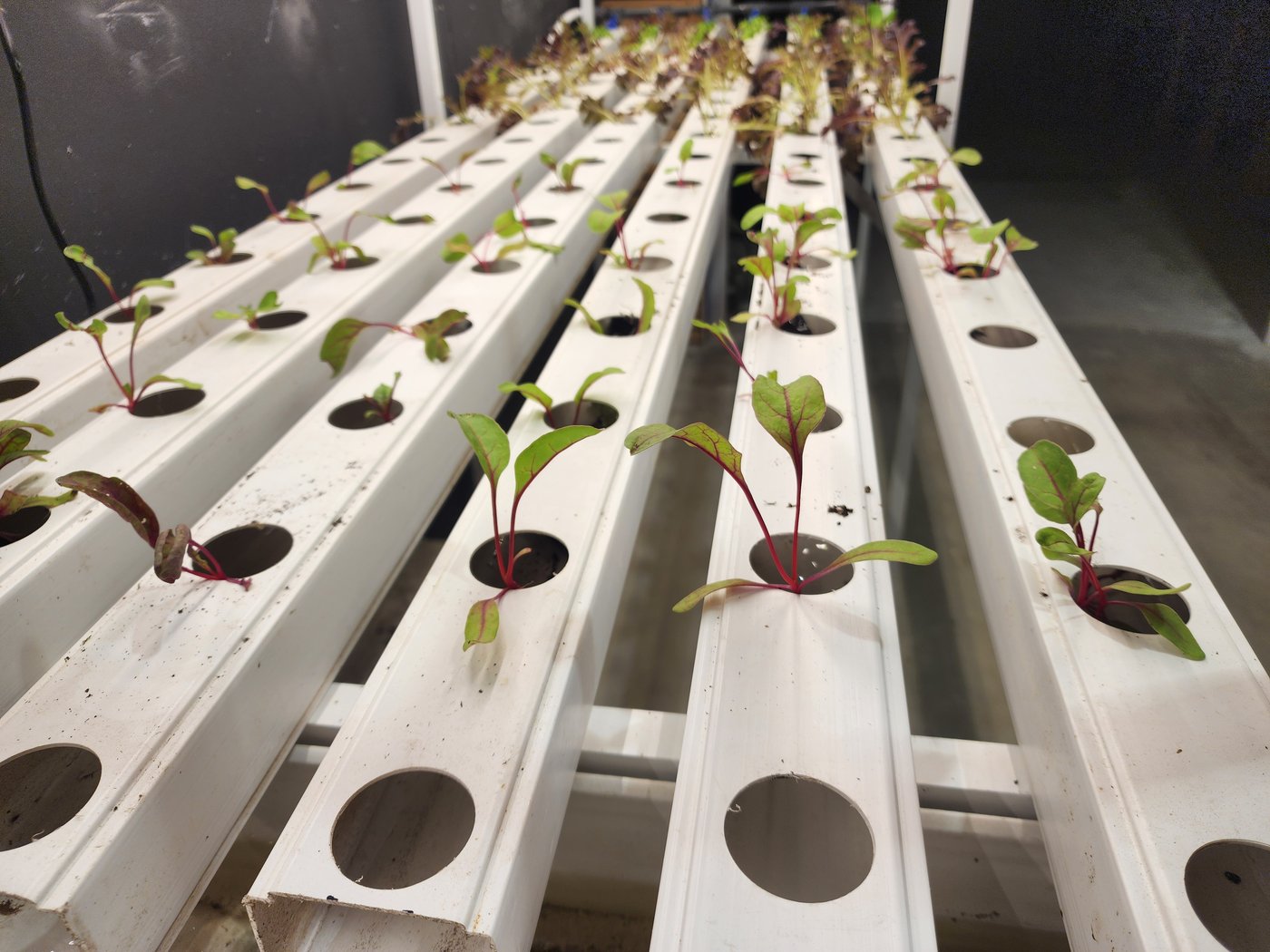 ביקור במעבדה לחקלאות העתיד