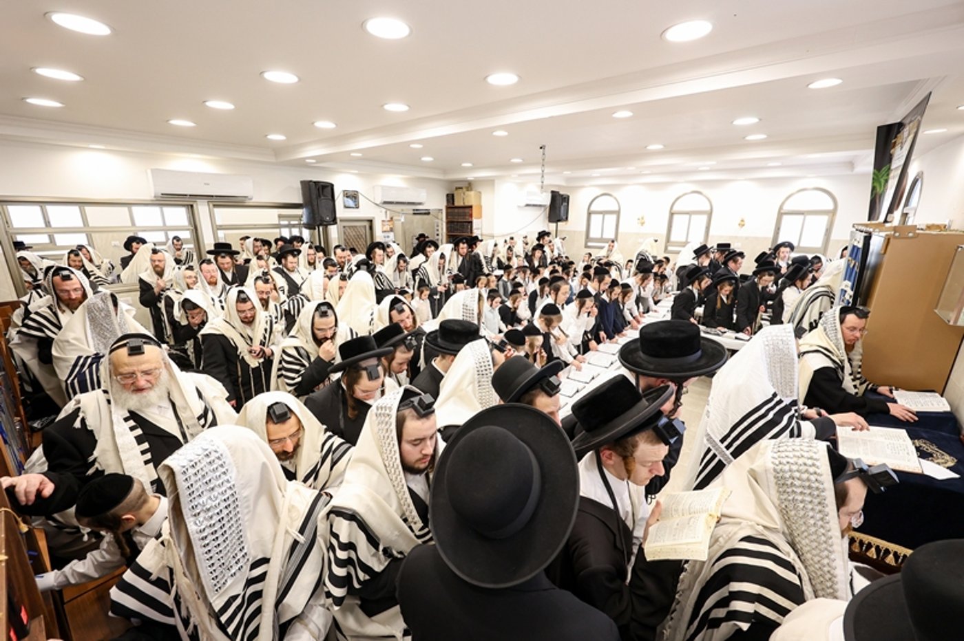 האדמו"ר מסאטמר בתפילת שחרית בבית שמש