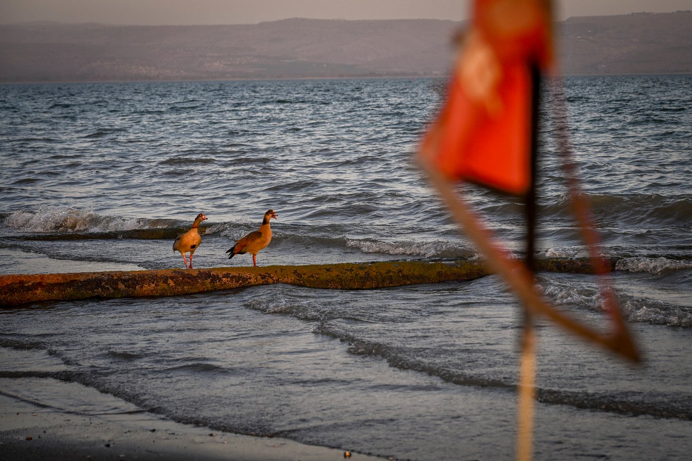 הכנרת בסוף השבוע 