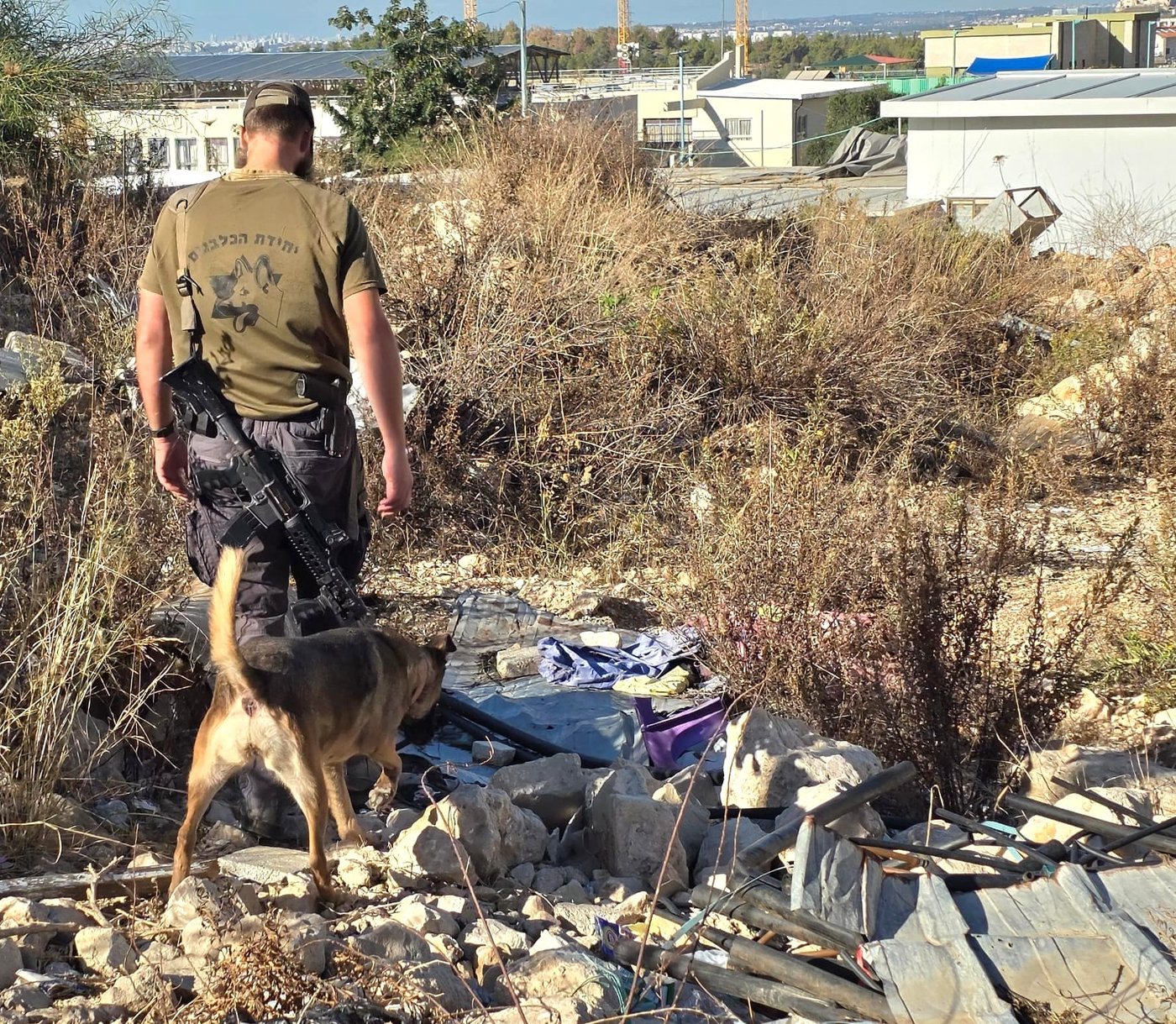 החיפושים אחרי מרדכי