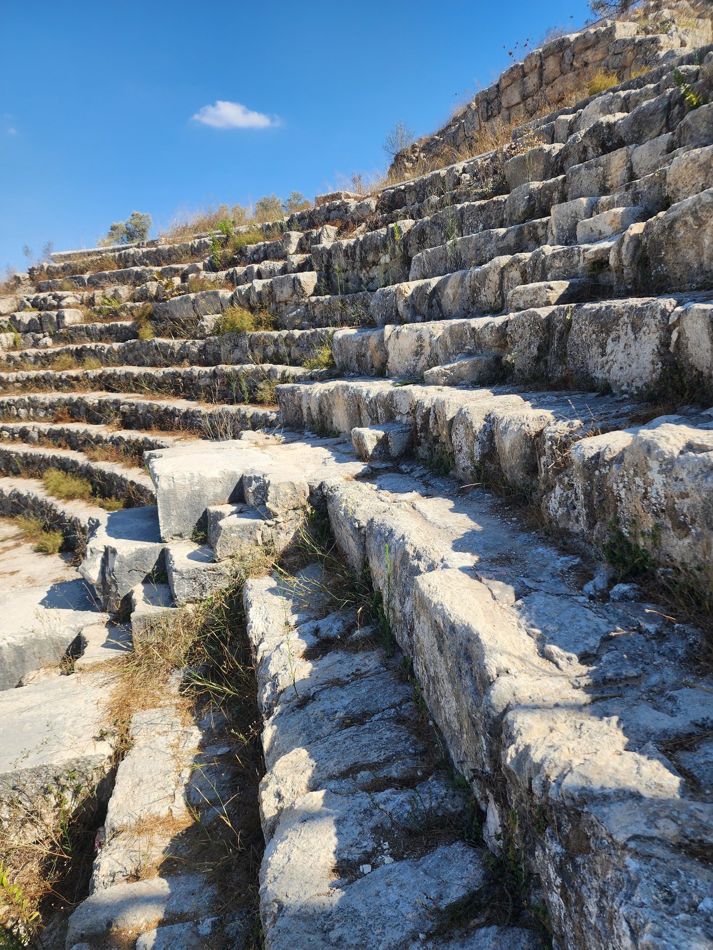 סבסטיה והאזור