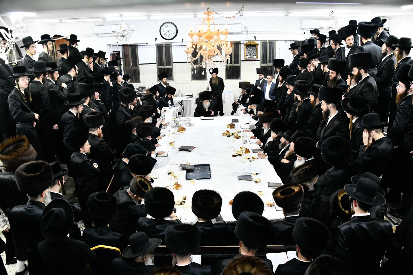 הילולא קדישא במודז'יץ