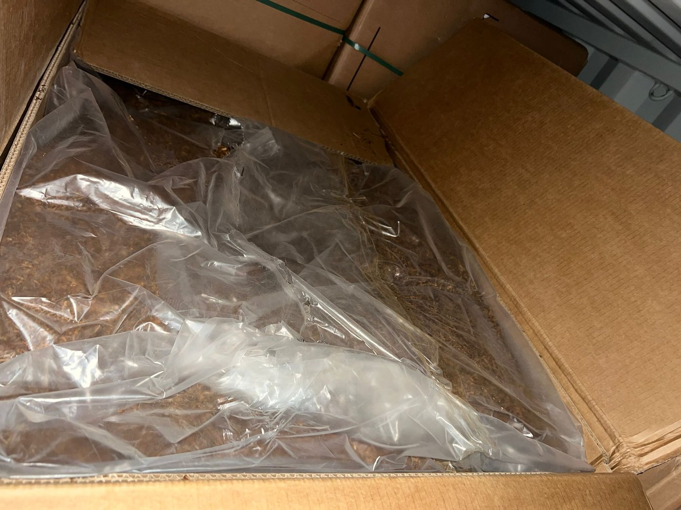 מעצר המכולות על ידי כוחות המשטרה