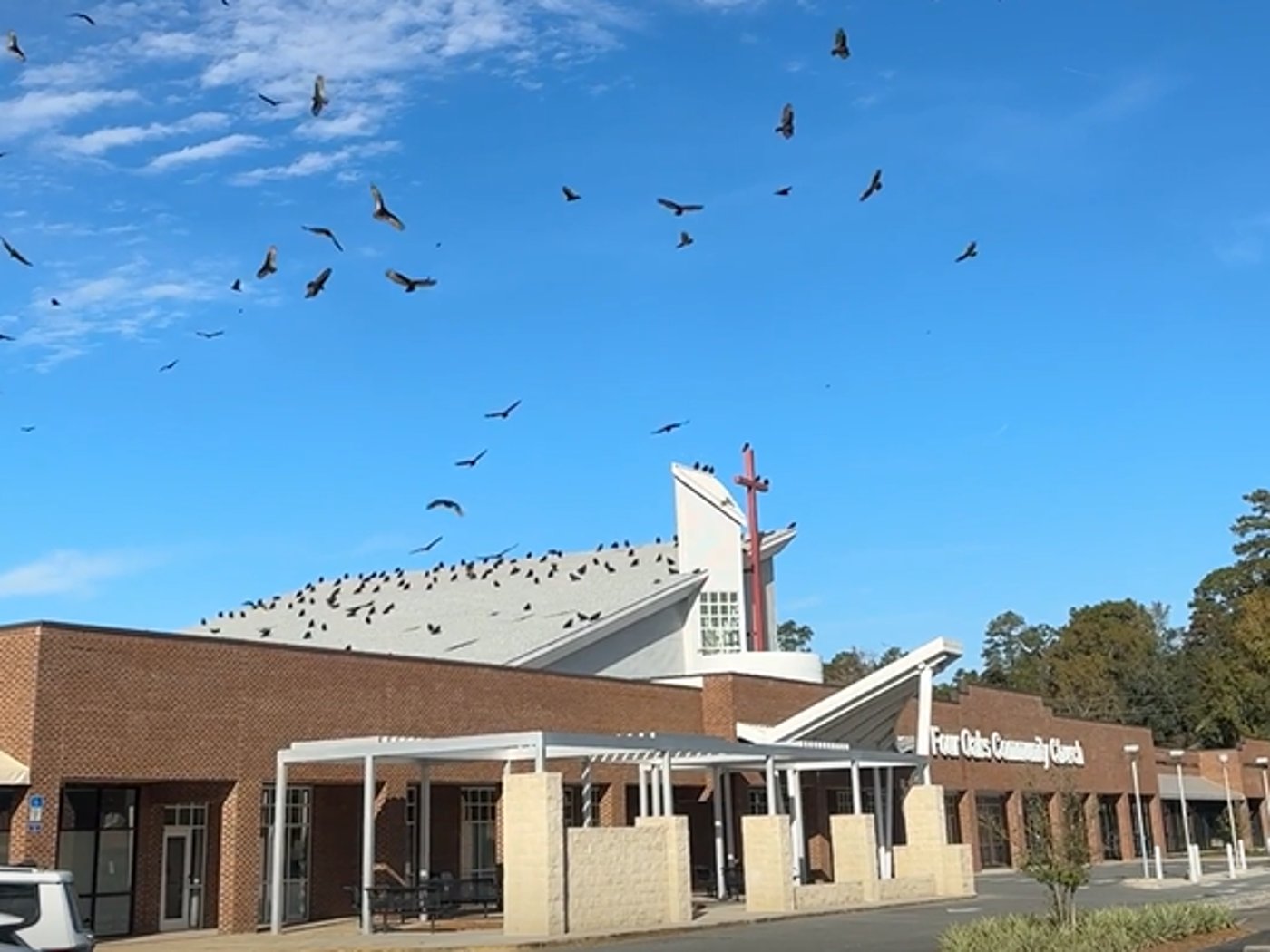 כנשרים חגים מעל כנסיית הקהילה Four Oaks Community Church Killearn, שנמצאת בטלהאסי, פלורידה, ארצות הברית. - בעקבות דליפת גז