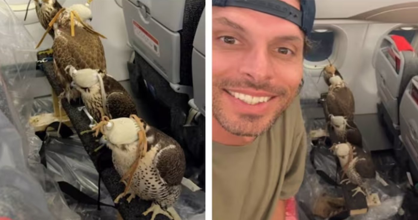 התייר ההולנדי והבזים שישבו במטוס