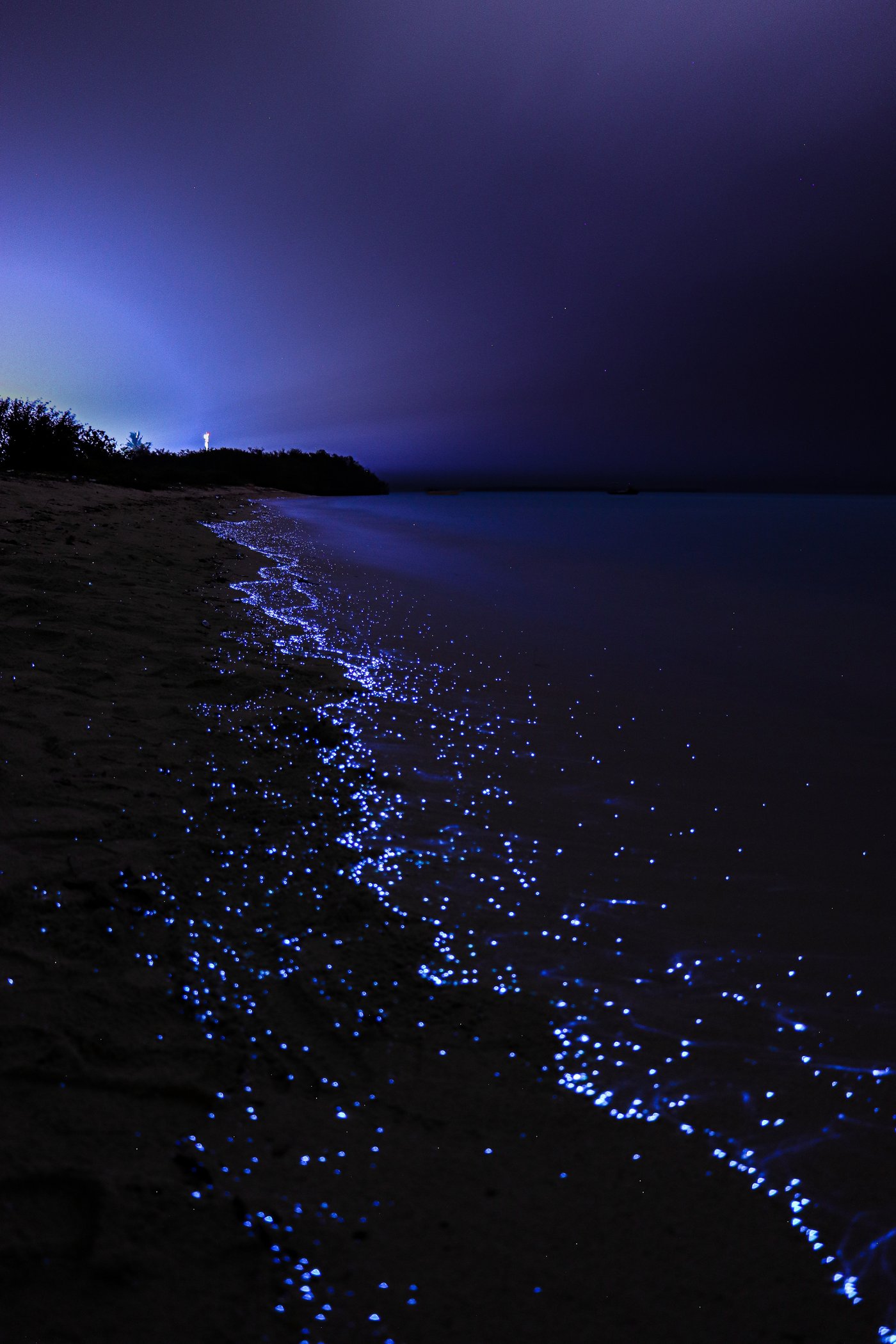 חופי הכוכבים במלדביים