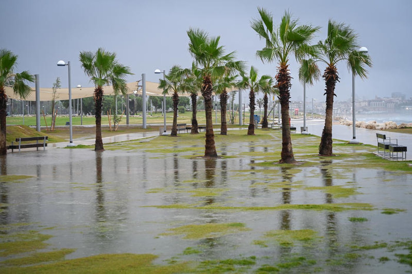 רחובות מוצפים, קניות "רטובות" לשבת, כלי רכב בתוך נהרות של מי גשמים | 18 רגעים מסופת "ביירון"