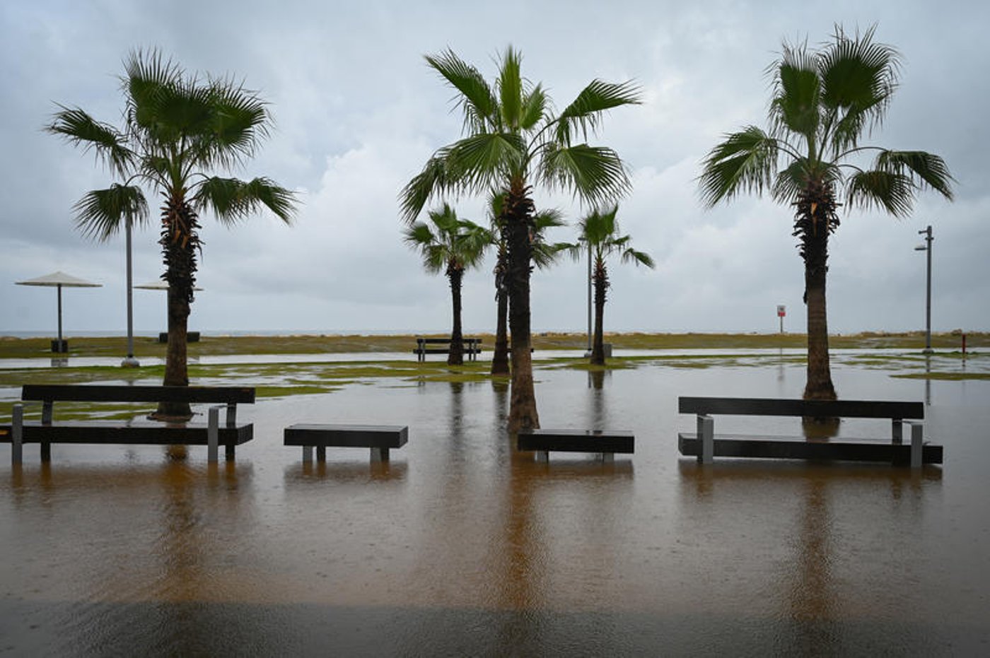 רחובות מוצפים, קניות "רטובות" לשבת, כלי רכב בתוך נהרות של מי גשמים | 18 רגעים מסופת "ביירון"