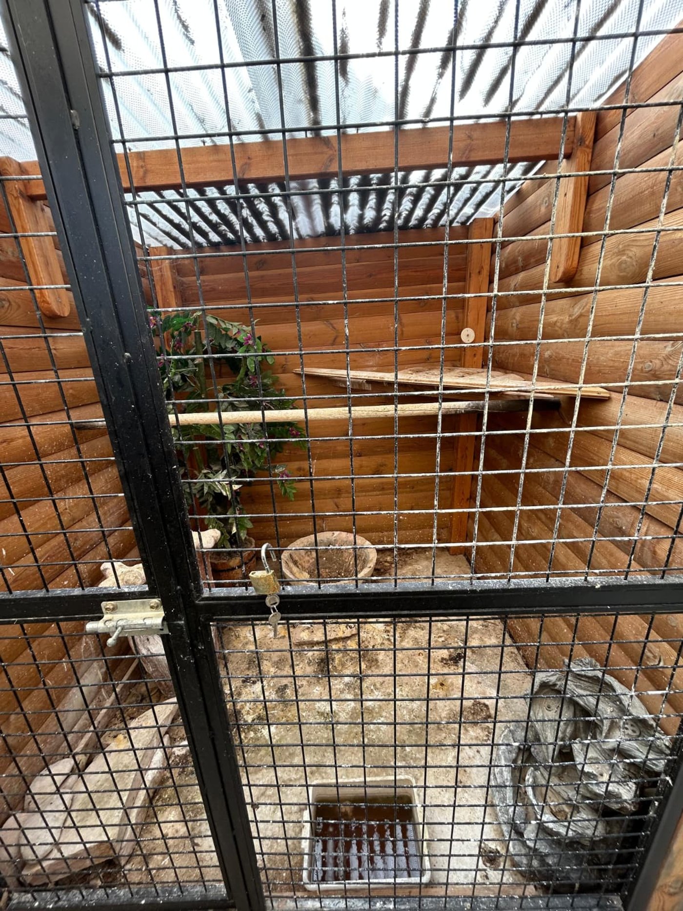 הממצאים שנתפסו בבית החשוד