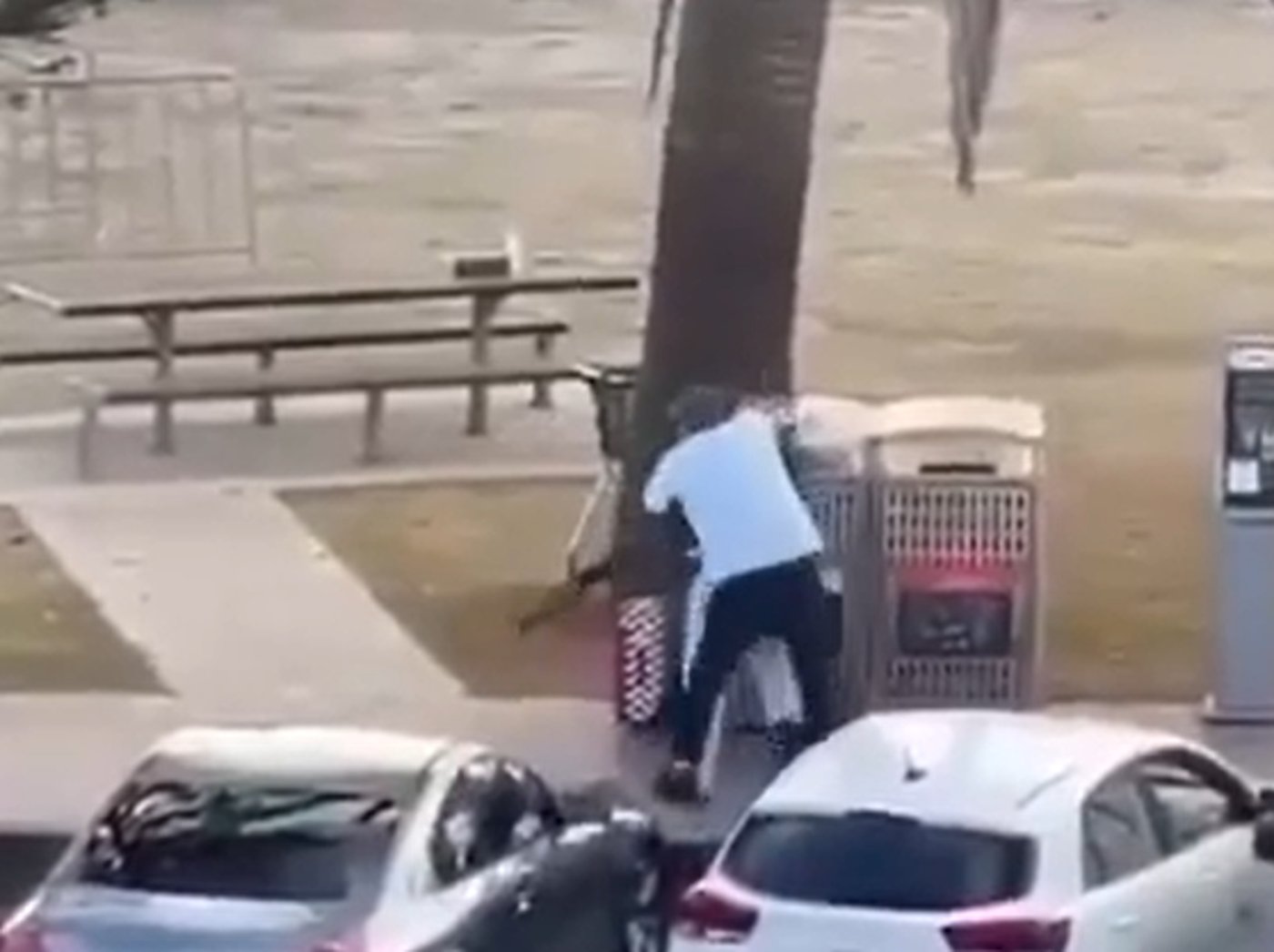 מתוך התיעוד הדרמטי