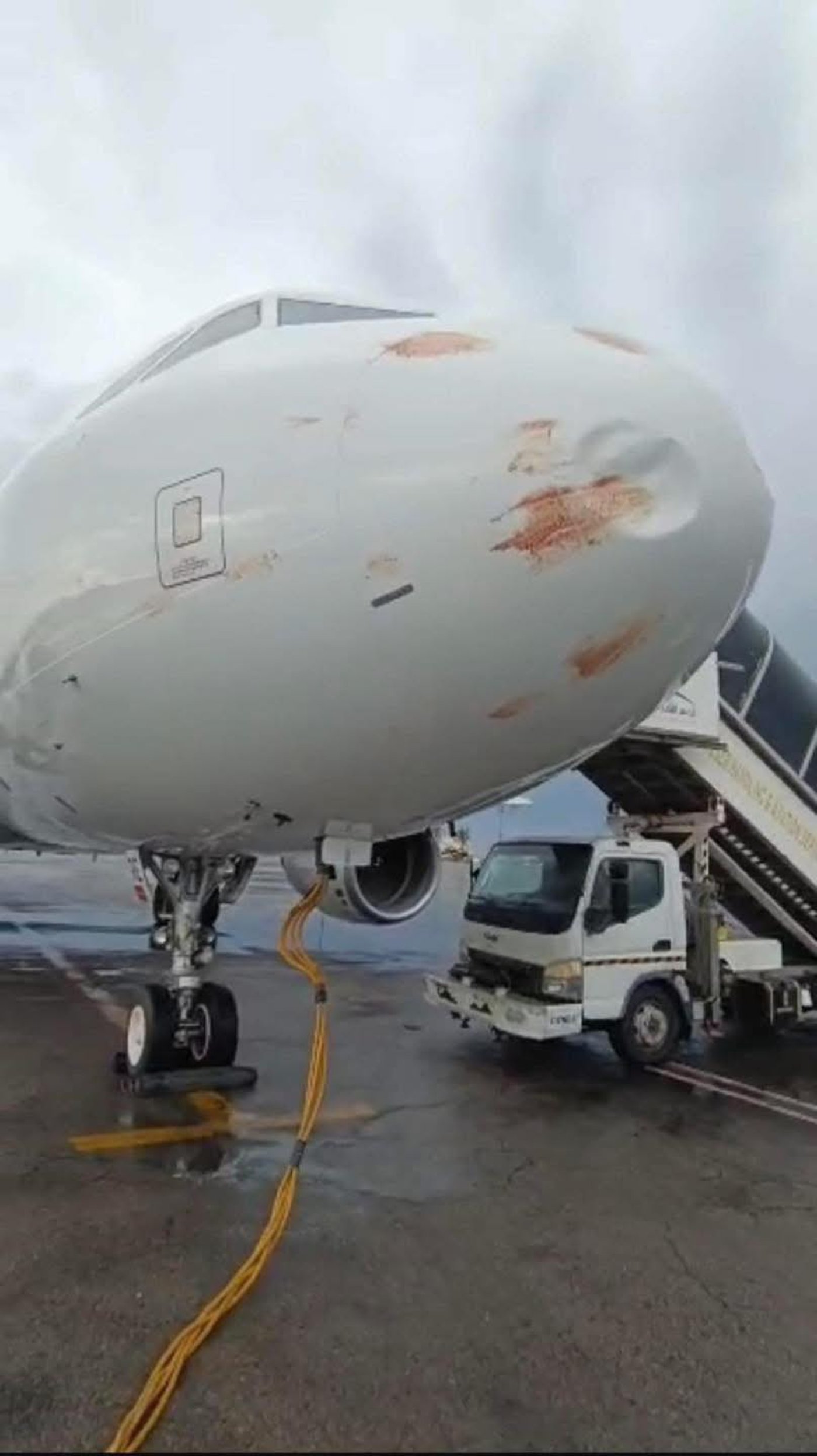 המטוס לאחר פגיעת העופות