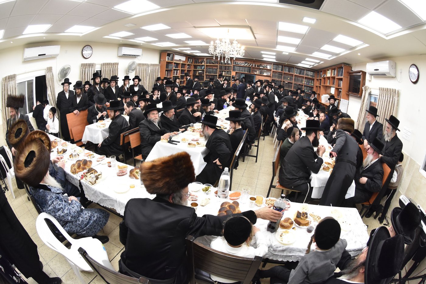 שמחת התנאים בחצה"ק שאץ - בישטינא - מעליץ - מודזיץ - אופלע