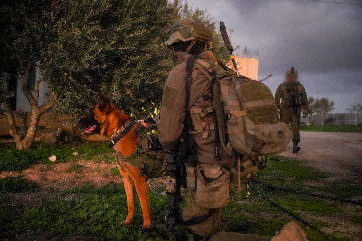 הריסת בית המחבל