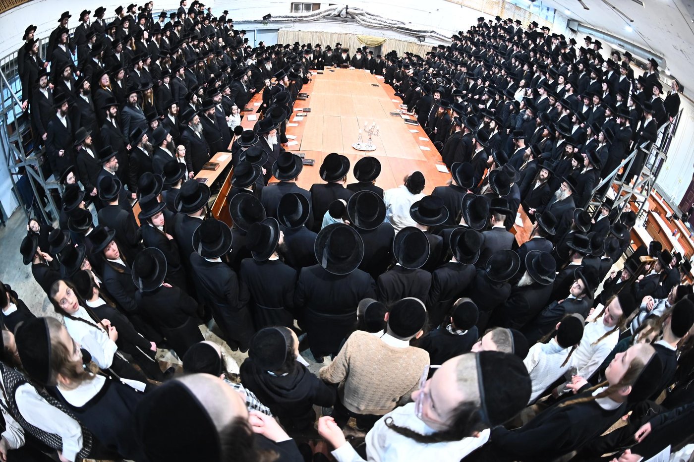 זאת חנוכה בחצה"ק מכנובקא בעלזא