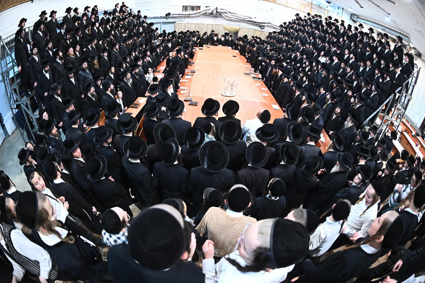 זאת חנוכה בחצה"ק מכנובקא בעלזא