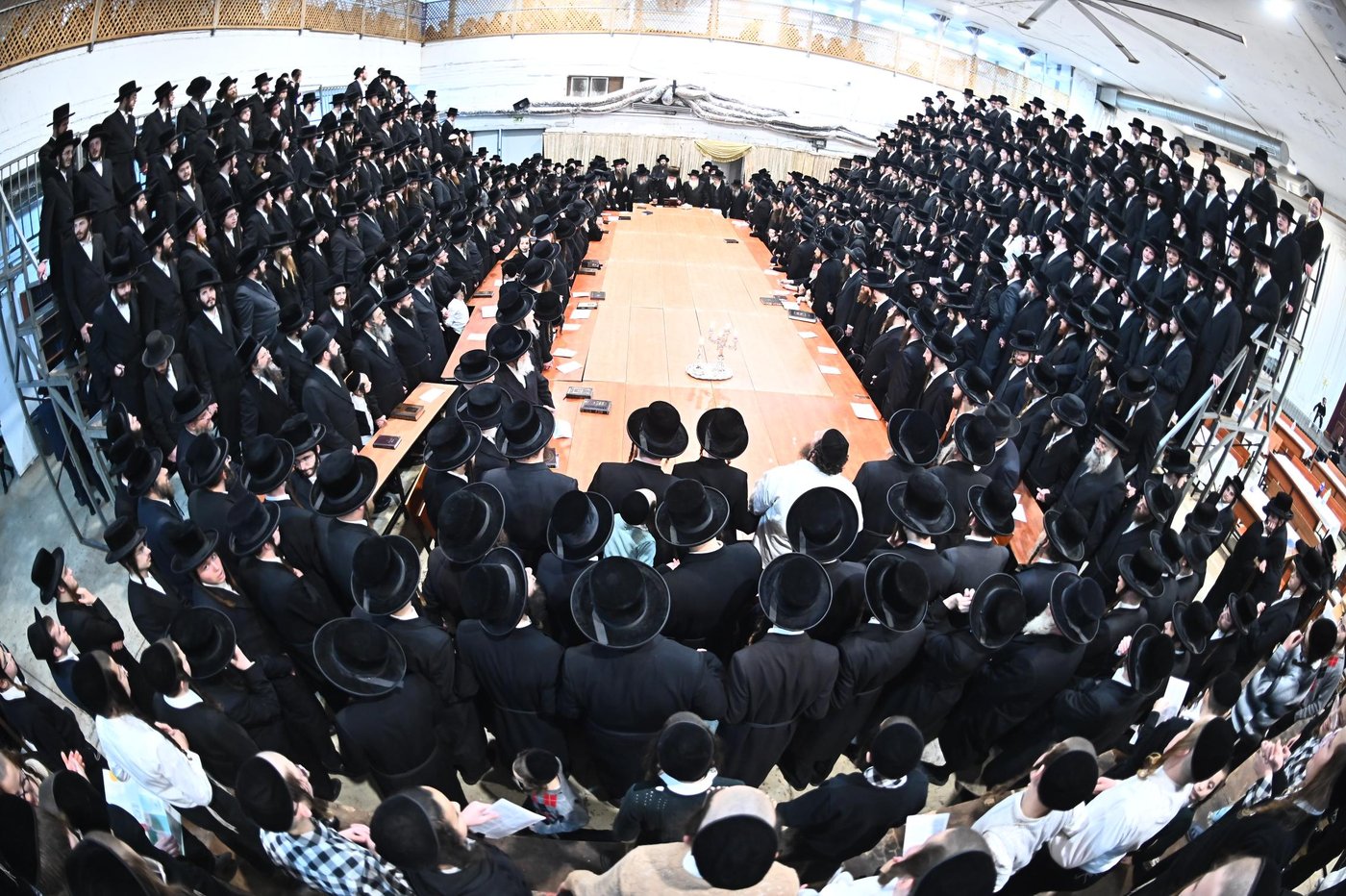 זאת חנוכה בחצה"ק מכנובקא בעלזא