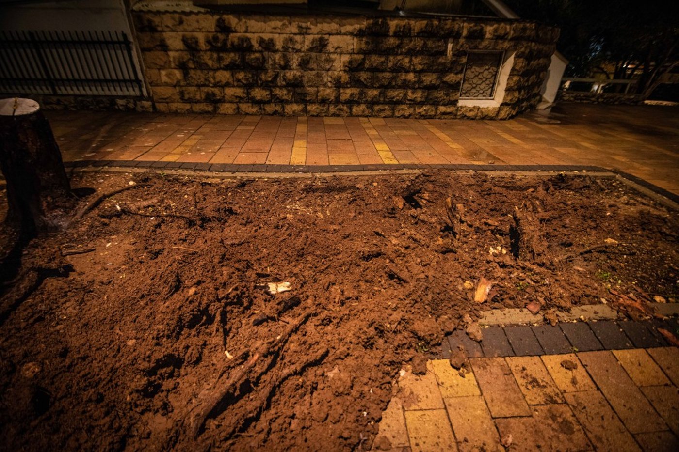 חורף בעמנואל