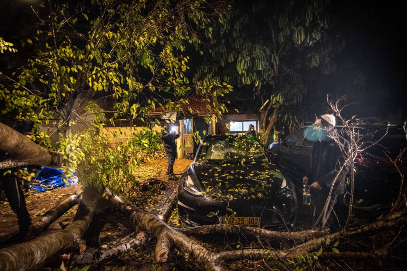 חורף בעמנואל