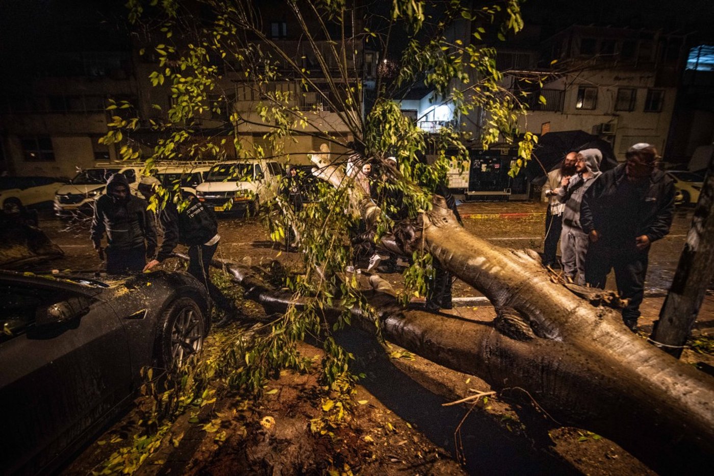 חורף בעמנואל