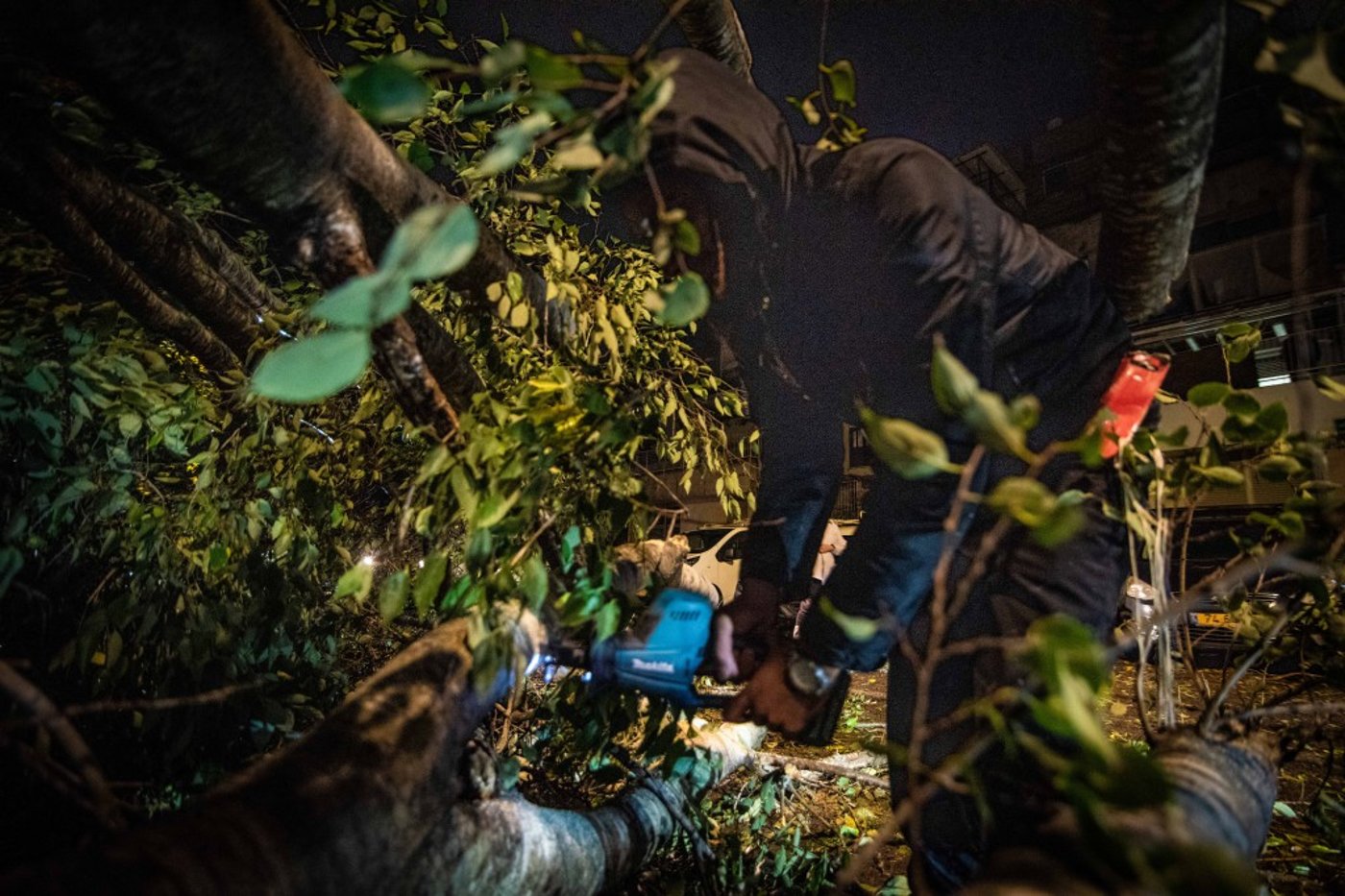 חורף בעמנואל