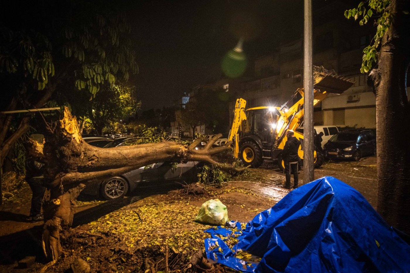 חורף בעמנואל