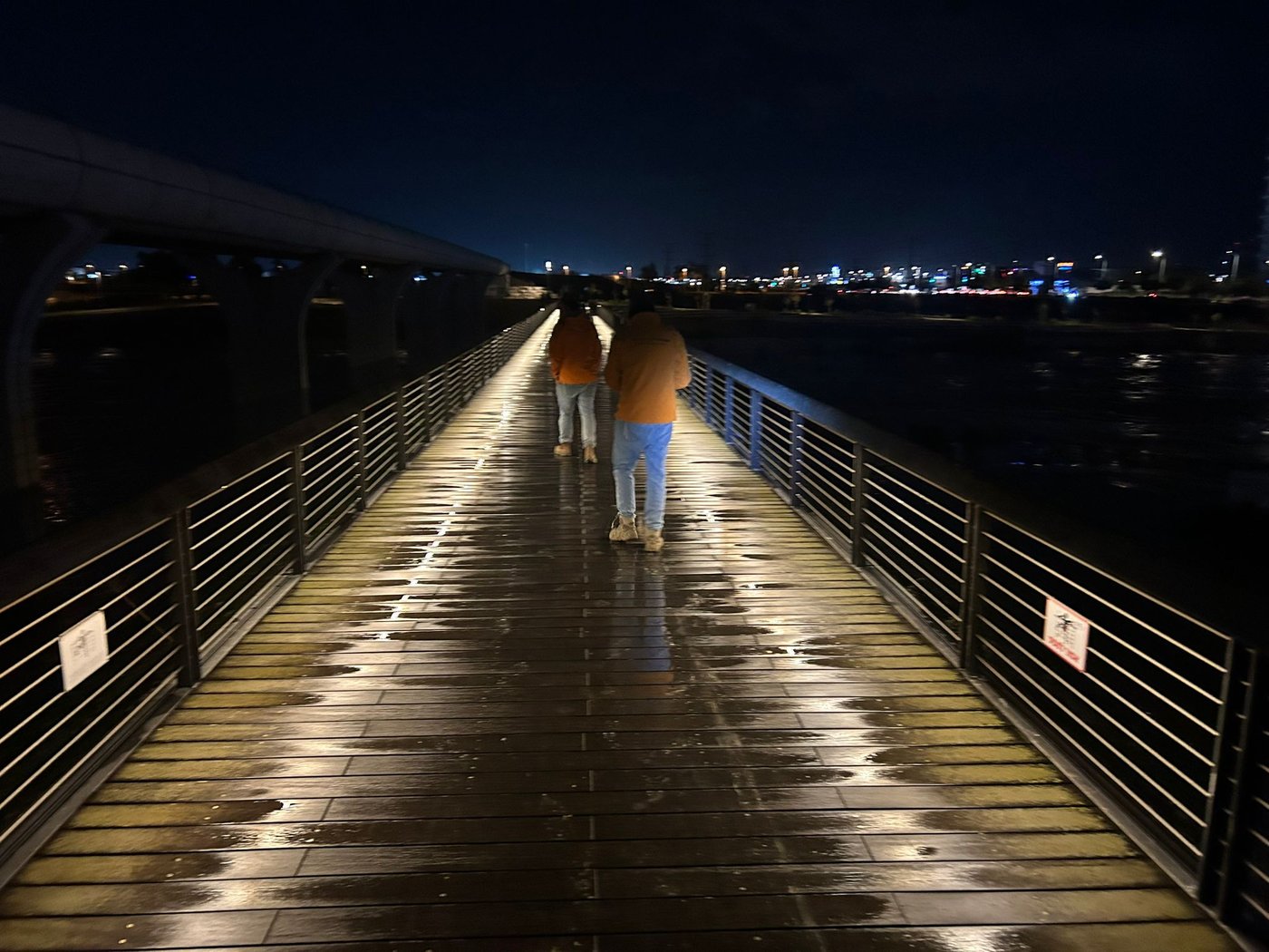 החיפושים אחר הצעיר