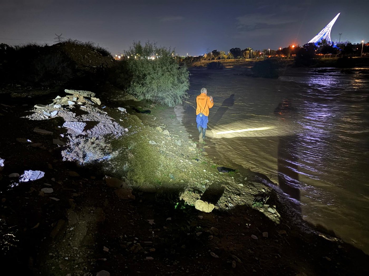 החיפושים אחר הצעיר