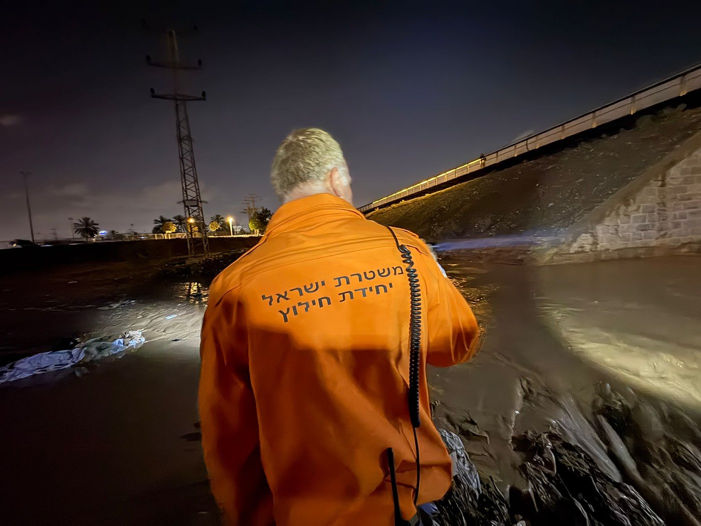 החיפושים אחר הצעיר