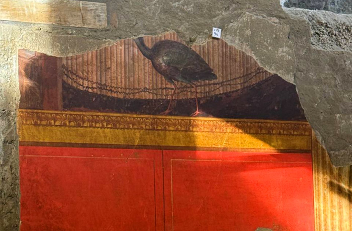 הטווס לאחר עבודות החפירה והחשיפה המלאה