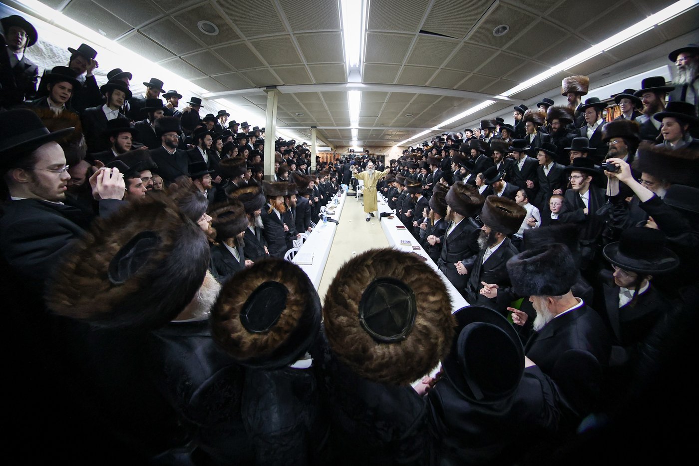 רבי אלימלך בידרמן במירון