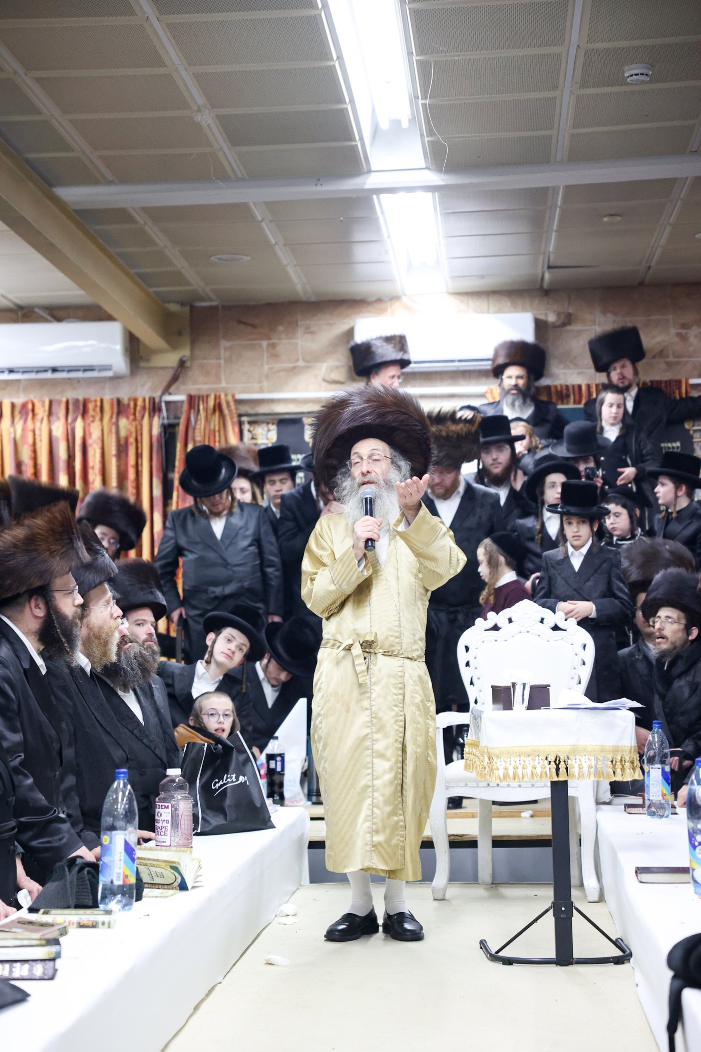 רבי אלימלך בידרמן במירון