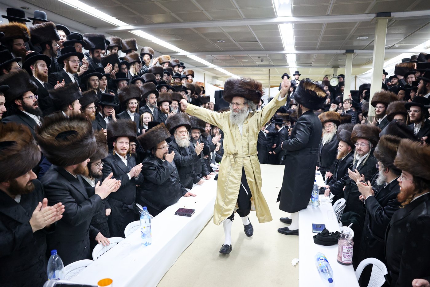 רבי אלימלך בידרמן במירון