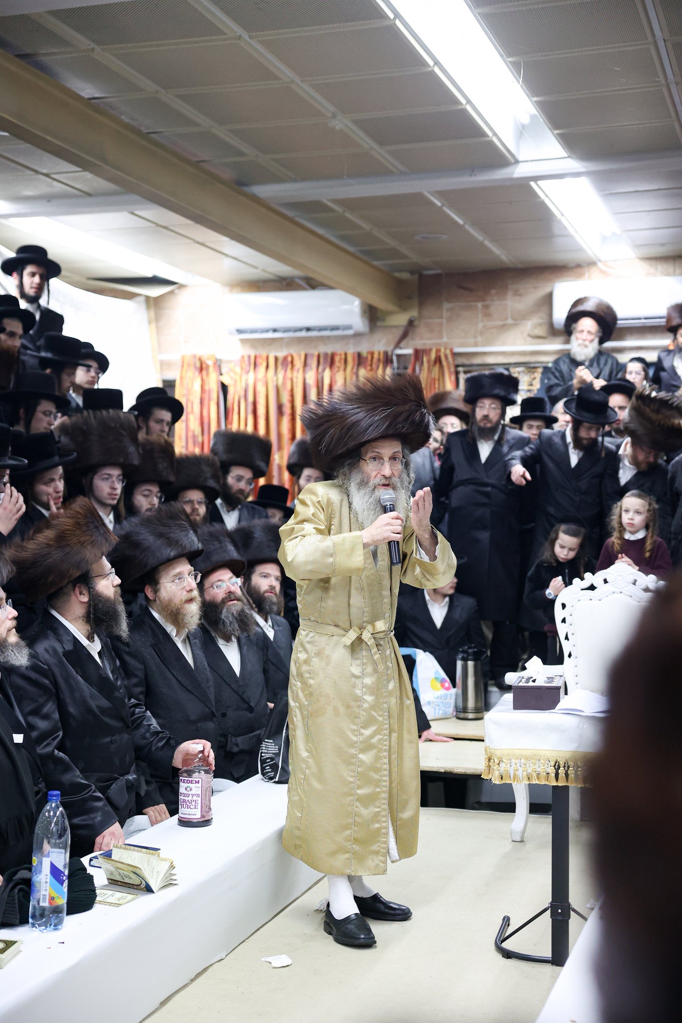 רבי אלימלך בידרמן במירון