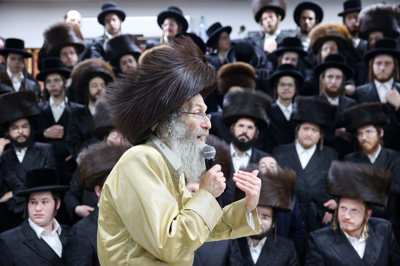 רבי אלימלך בידרמן במירון