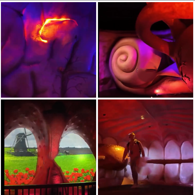 מבט מבפנים מוזיאון הגוף בהולנד