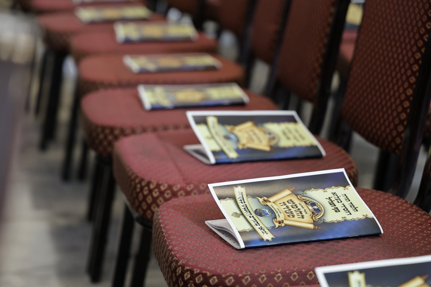 חומש סעודה בת"ת בעלזא בהר יונה