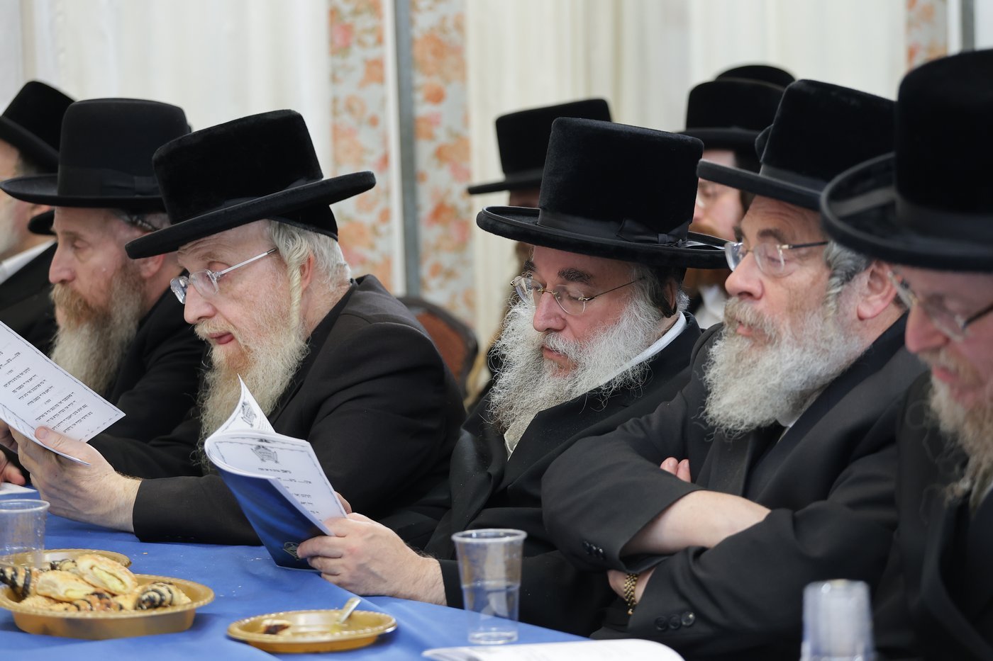 חומש סעודה בת"ת בעלזא בהר יונה