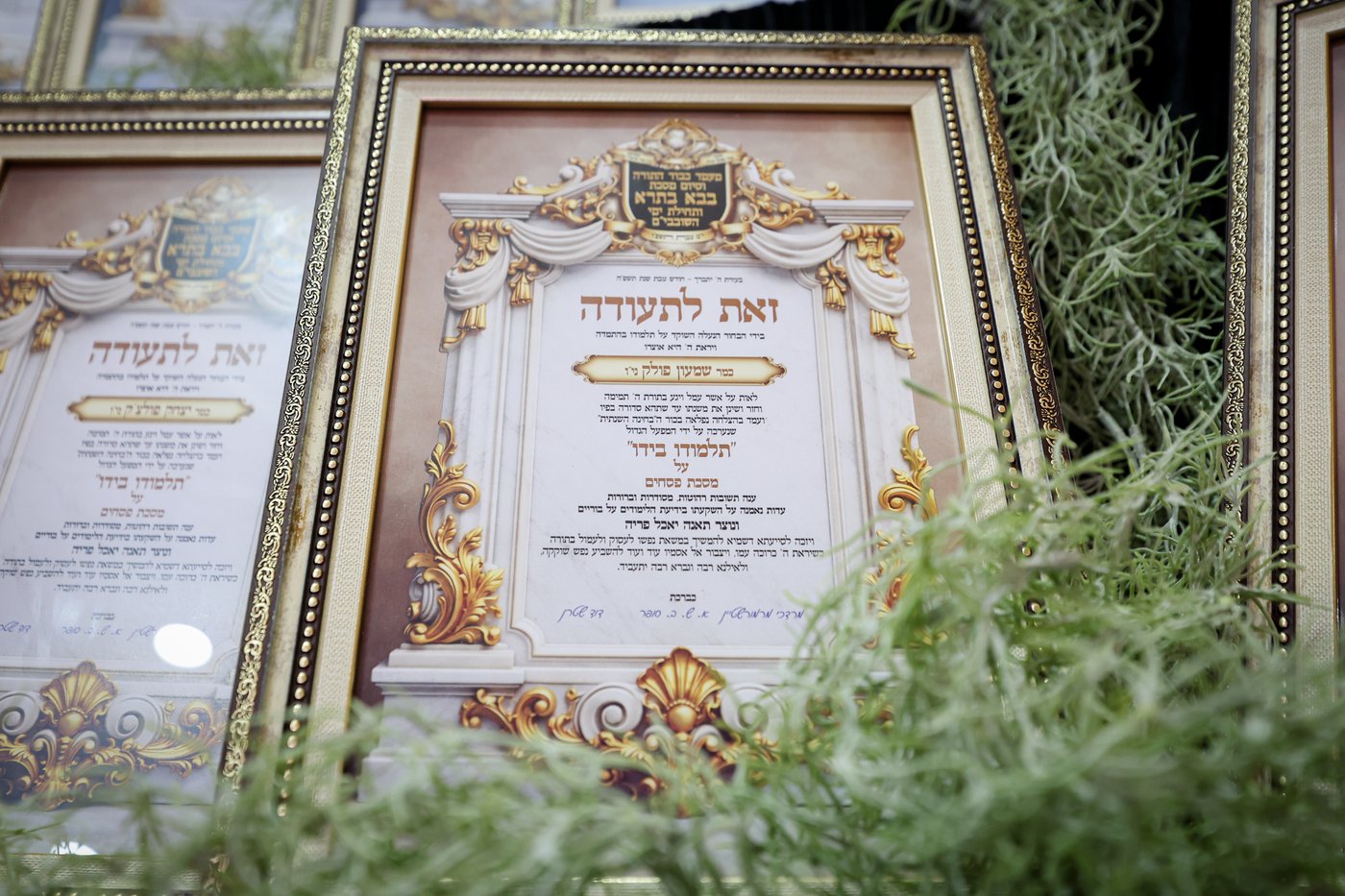 תחילת ימי השובבי"ם בערלוי