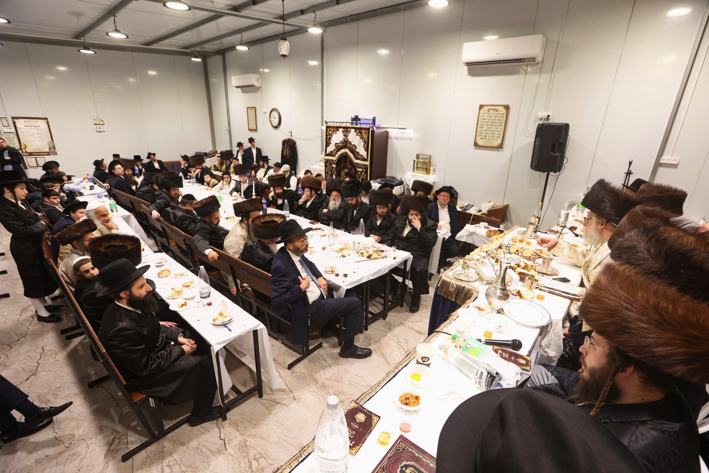 הילולא קדישא בשאץ דרהביטש