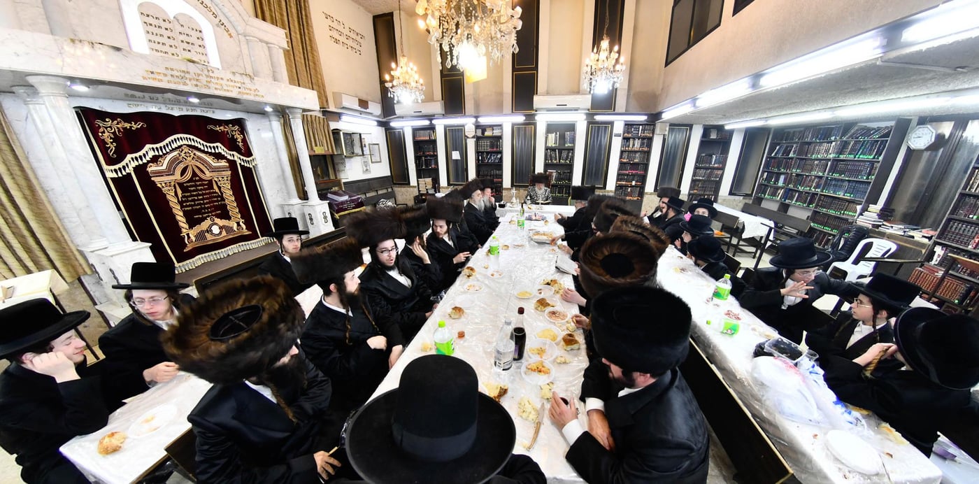 הילולא קדישא בשאץ