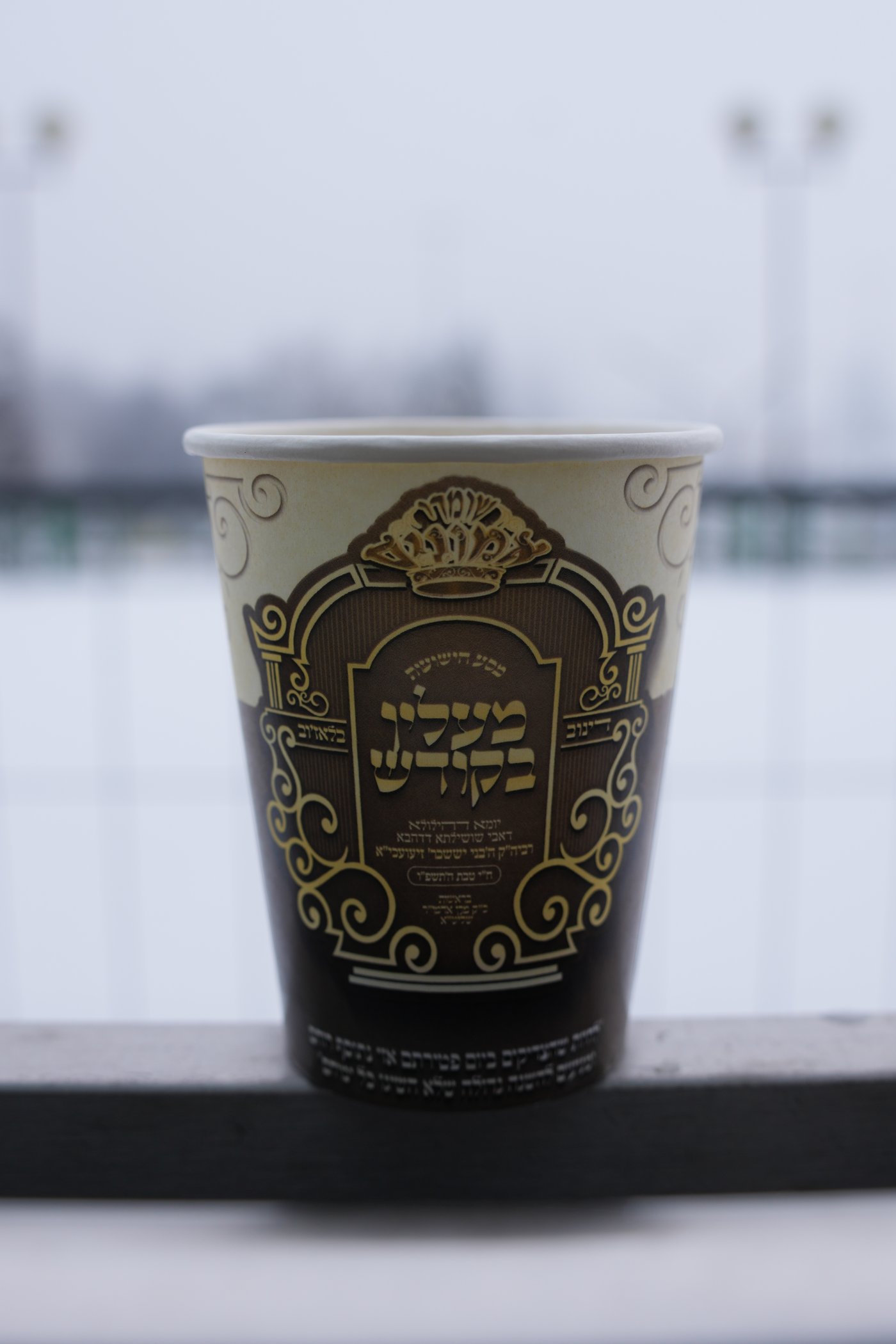 האדמו"ר משומרי אמונים במסע הקודש לפולין