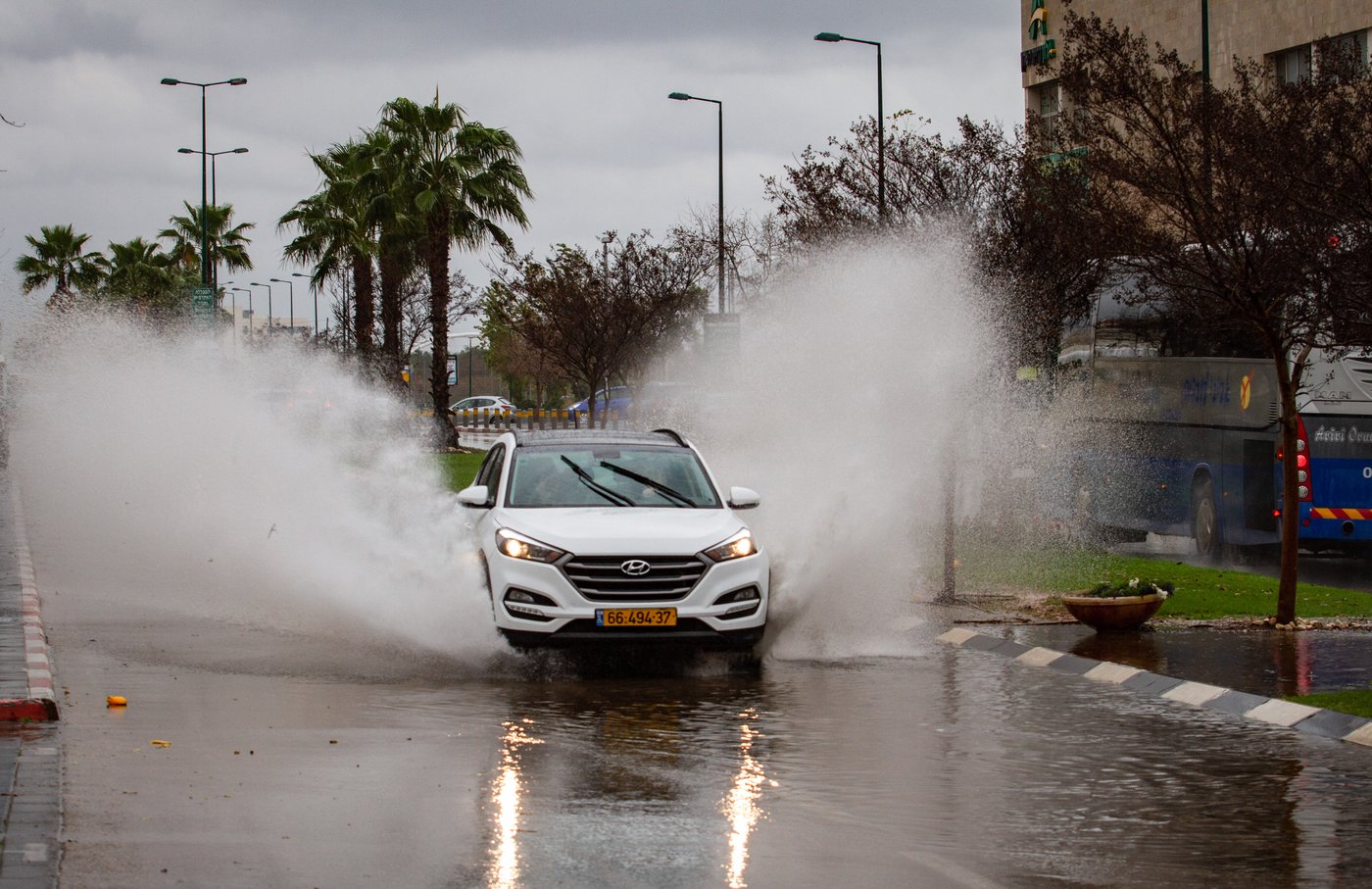 אילוסטרציה