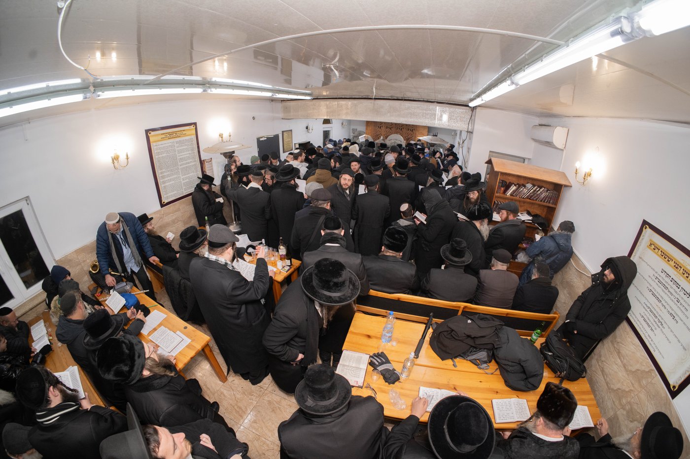 הילולת ה'בני יששכר' בדינוב