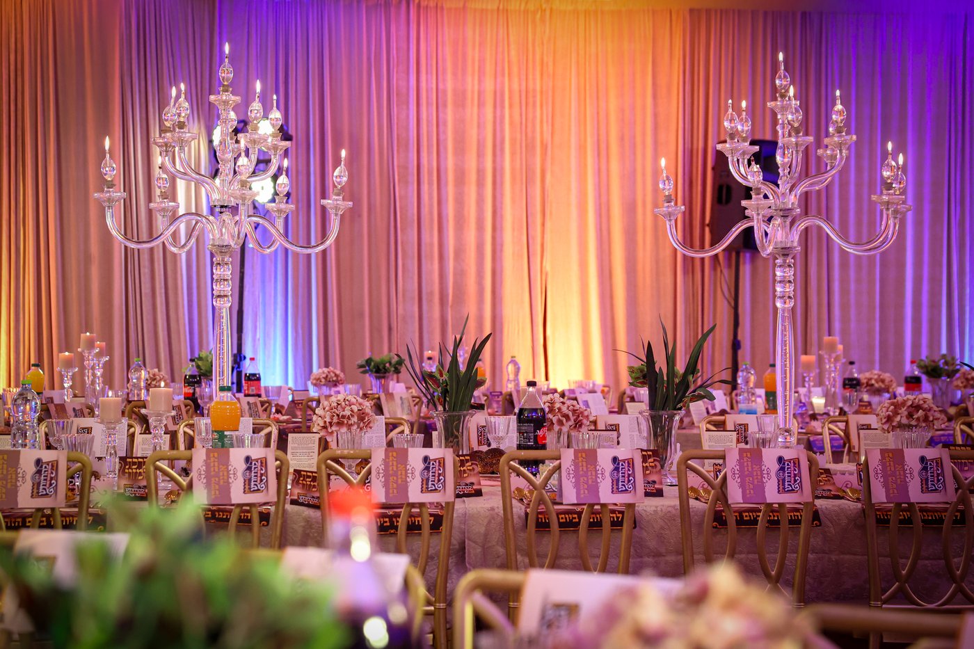 דינר להחיותינו במכנובקא בעלזא